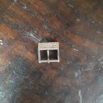 그랜드세이코 정품 비죠 2