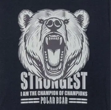 넘버원 전대 고쥬우쟈 고쥬우 폴러 히어로 패턴 T셔츠 L