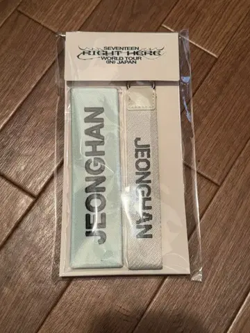 SEVENTEEN 정한 키링