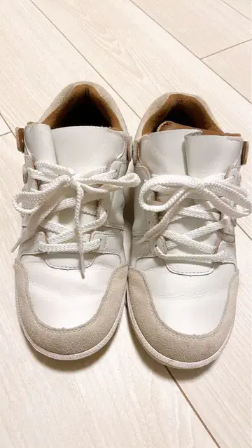 산가치오 반시 스니커즈