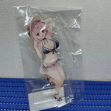 TwinBox 이즈미 카오리 아크릴 피규어 아크릴 스탠드