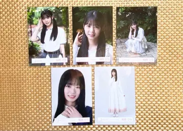 사쿠라자카46 이나구마 히나 정리