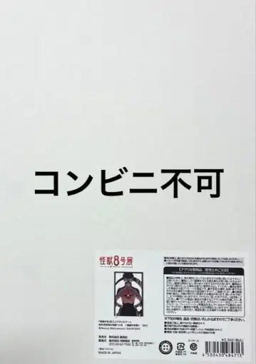 괴수 8호 괴수 8호전 박입 아크릴 아트 호시나 소우시로