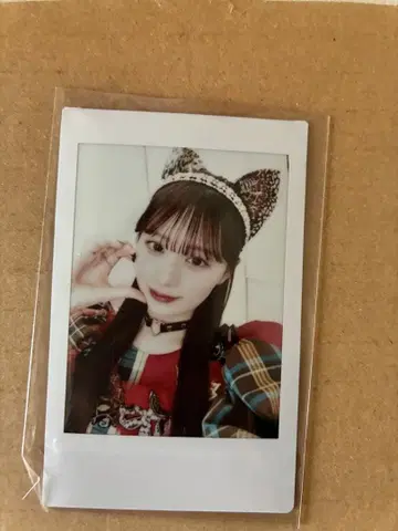 타치바나 코토미 아카구미 온라인 특전회 프린트 폴라로이드