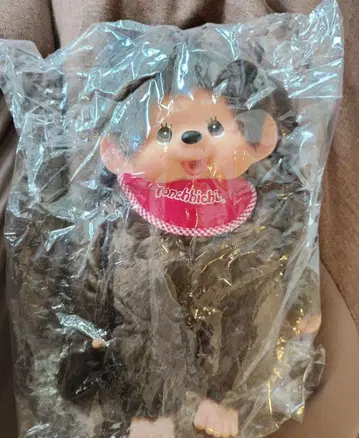 몽치치 프리미엄 스탠다드 L 사이즈 남아