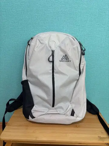 SOPHNET. GREGORY RHUNE 20