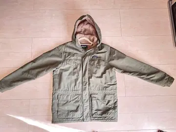 patagonia 19AW//27021FA 이즈머스 후드티