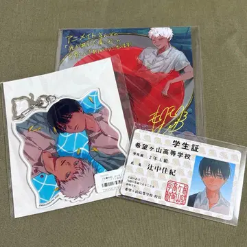 빛이 죽은 여름