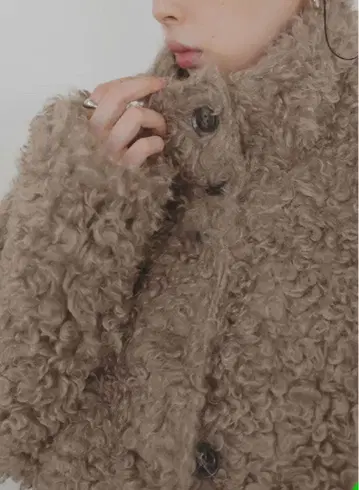 푸들 퍼 블루종 스탠드 블루종 / hellam LIAN 같은 형태