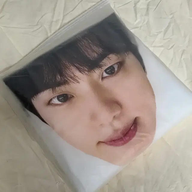 방탄 런석진 고양콘 우비