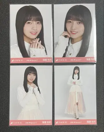 노기자카 브로마이드 해변