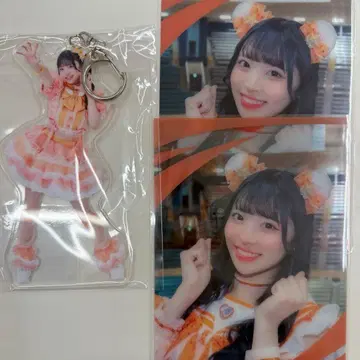 iLiFE 온라인 복권 코구마 마무 세트