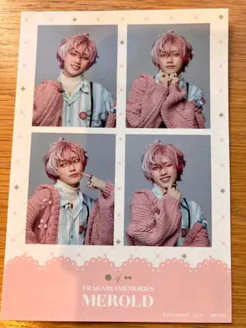 플라뮤 플라가리아 메모리즈 스티커 멜로드 안도 유메토