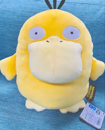 Mocchi-Mocchi-못찌못찌 코닥 M 사이즈 택 포함