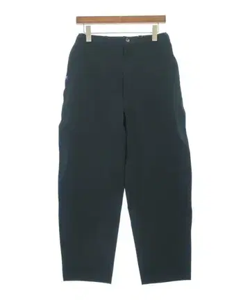 THE NORTH FACE PURPLE LABEL 팬츠 (기타) 남성용