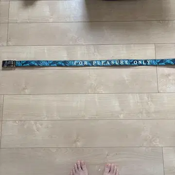 GOTCHA CALIFORNIA 벨트 GOTCHA 클립 마커