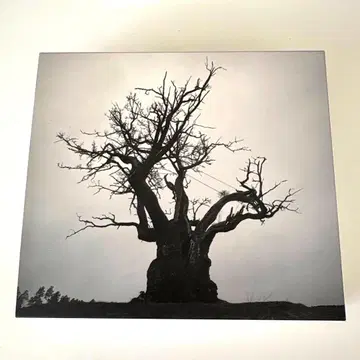 SEKAI NO OWARI 베스트 앨범 (초회 한정판)