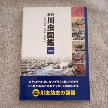 원색 수서곤충 도감 유충편