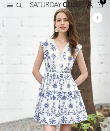 Two-tone Embroidered V-neck Dress