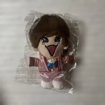 후지와라 죠이치로 치비누이