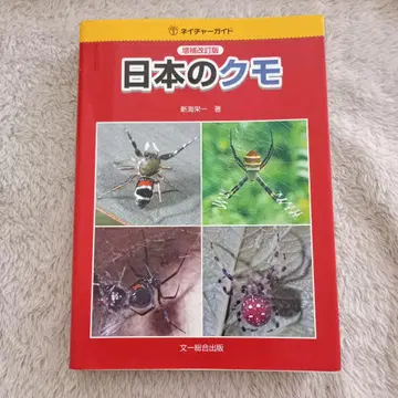 일본의 거미 문일종합출판