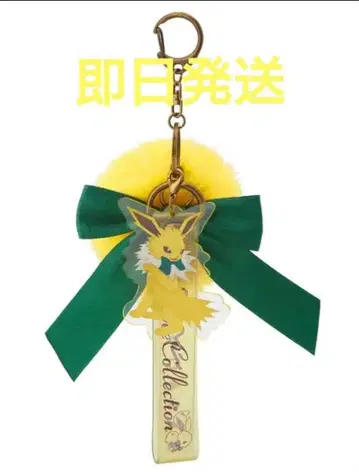 키링 Eevee Collection 이브이 컬렉션 썬더스