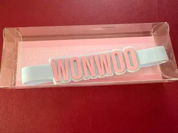 SEVENTEEN 응원봉 액세서리 원우