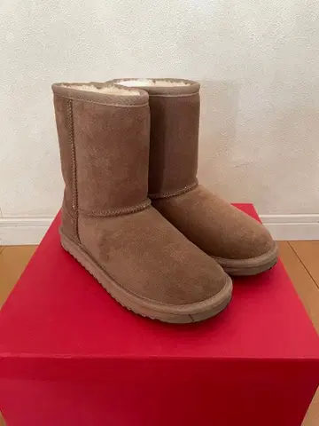 브라운 스웨이드 어그 부츠