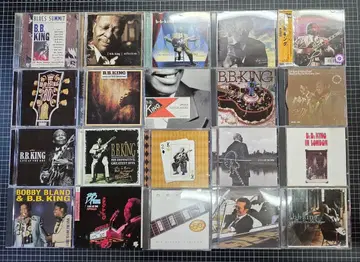 B.B. King CD 컬렉션 다수