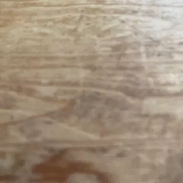 vanessabruno 바네사브루노