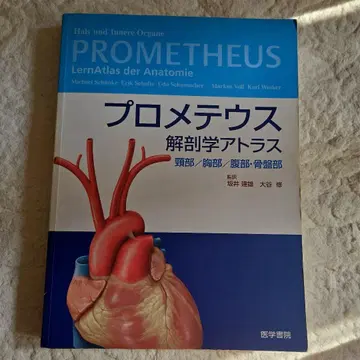 프로메테우스 해부학 아틀라스 경부/흉부/복부 골반부
