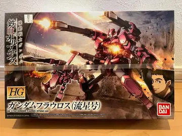 HG 건담 플라우로스 (유성호) 1/144