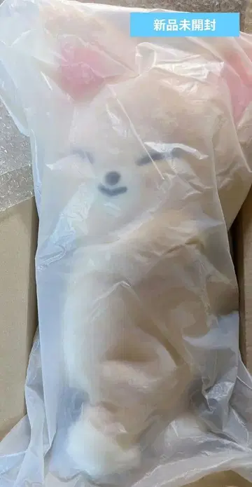 스키즈 팝업 SKZOO PLUSH BAG FoxI.Ny