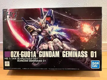 HG 1/144 건담 제미너스01