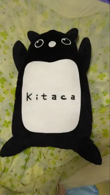 JR 홋카이도 Kitaca 모몽가 포근 인형 특대 사이즈 키타카 한정품