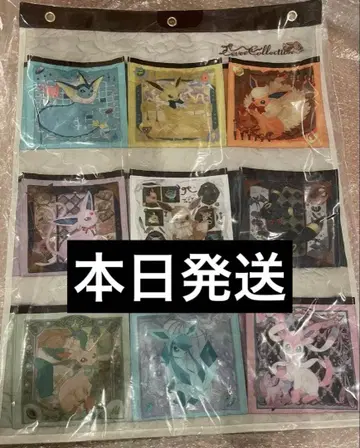 월 포켓 Eevee Collection 이브이 컬렉션 새상품