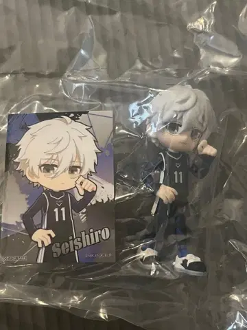 팔버스 블루 록 나기 세이시로