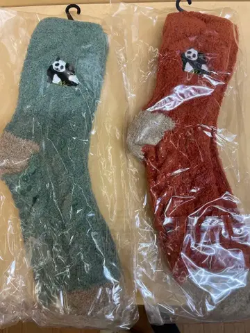 [ 신상품 ] 어드벤처 월드 팬더 룸 삭스 2족 세트