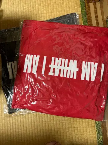 아타에 신지로 IAM WHAT I AM