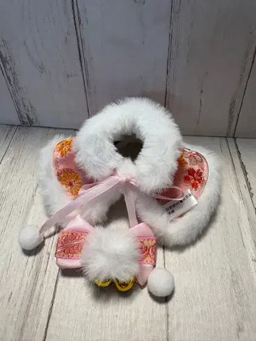 마녀의 옷장 시리즈