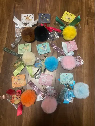 포켓몬 이브이 키링 Eevee Collection