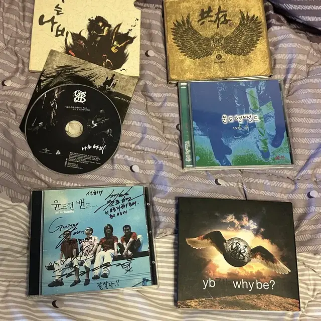윤도현밴드 yb 공존 나는나비 3집 5집 라이브앨범 사인 싸인