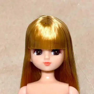 리카짱 작은 가게 박스형 리카짱 캐슬