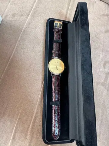 Ricoh ELEMEX 크로커다일풍 가죽 시계