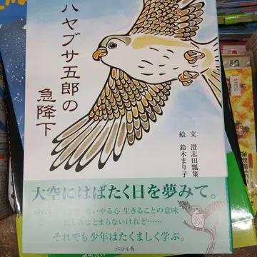 하야부사 고로의 급강하