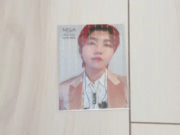 Mrs. GREEN APPLE 포토 카드 MGA 와카이 히로토 레어