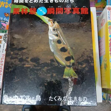 물고기 개구리 새 : 재주꾼 생명체