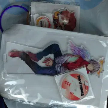 CrazyRaccoon 아크릴 스탠드 달마이즈갓 GIGO 한정판