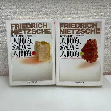 프리드리히 니체 인간적, 너무나 인간적인 전 2권 세트