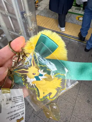 키링 Eevee Collection 썬더스